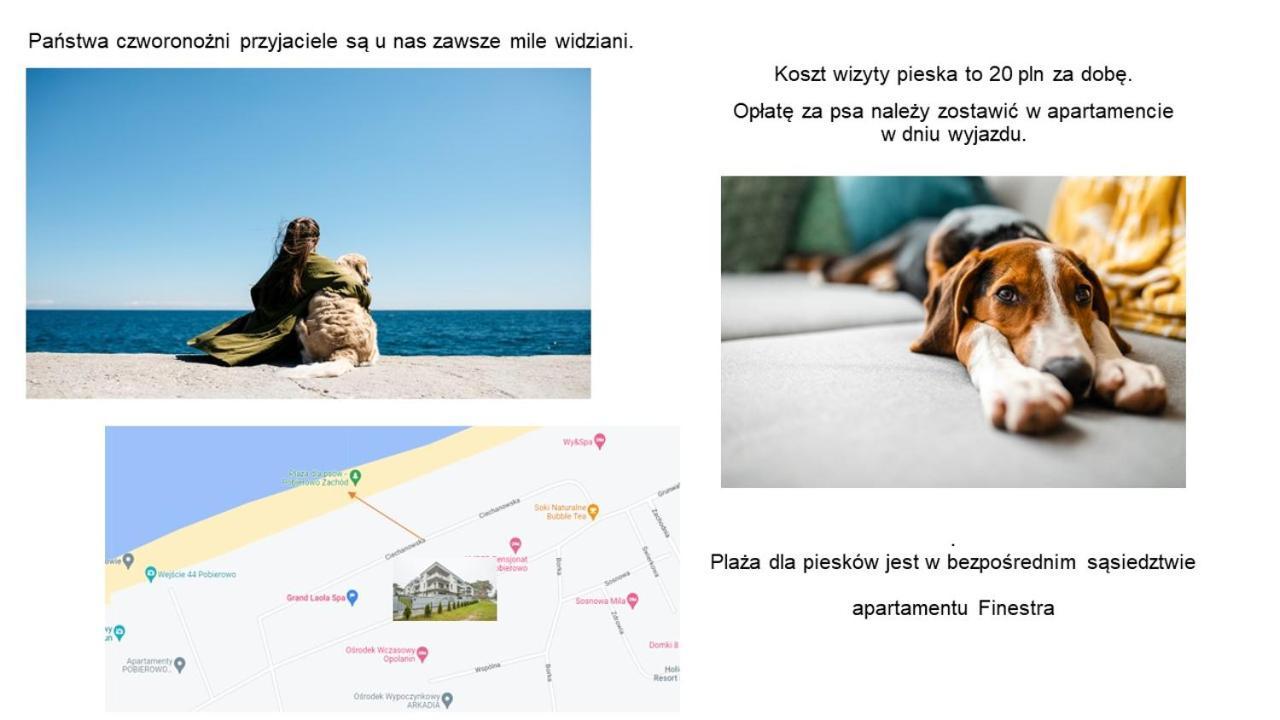 Finestra, Przy Morzu, Ul Grunwaldzka 12 D23 Apartment